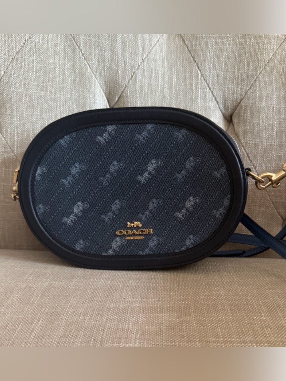 Coach Horse & Carriage Print Oval Crossbody Bag with Gold Hardware